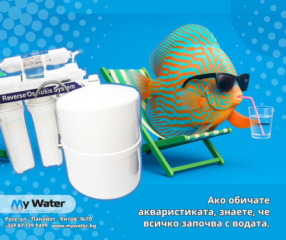 Ако обичате акваристиката