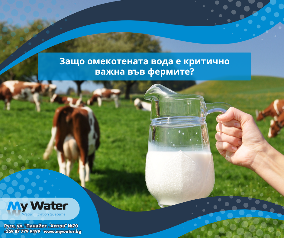 Защо омекотената вода е критично важна във фермите?